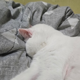 인생은한방